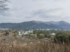 -香雪海