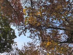 -泰康拜博口腔医院(江北总院)