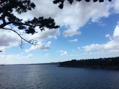 -龙头岩(Dragon Head Rock)