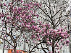 -黄龙时代广场