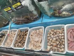 -俏东方·海味水饺·青岛菜(崂山店)