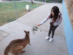 -西霞口神雕山野生动物世界