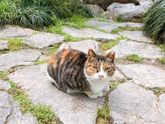 -静安公园(静安寺街道)