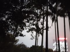 -雀儿山公园