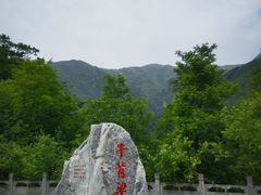 -牛背梁国家森林公园