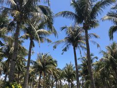 -白沙湾海滩