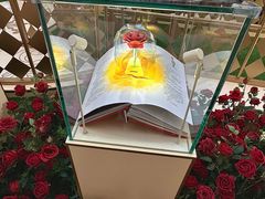 -沈阳铁西万象汇