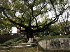 -中国美术学院象山校区-民艺博物馆