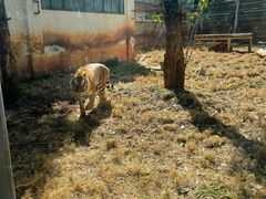 -昆明动物园