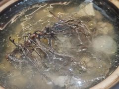 -鹭岛新泉客家菜·海鲜·融合菜(莲前店)