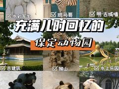 -保定市动物园