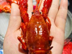 -京悦南门涮羊肉·羊蝎子火锅(田林路店)