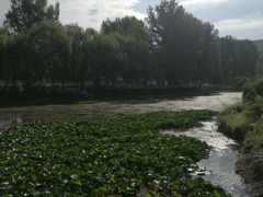 -紫海香堤香草艺术庄园