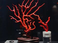-中国地质博物馆