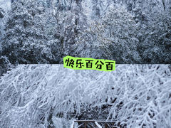 -龙苍沟森林公园