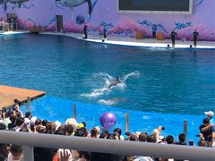 -北戴河圣蓝海洋公园