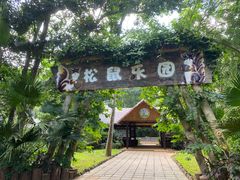 -海南热带野生动植物园
