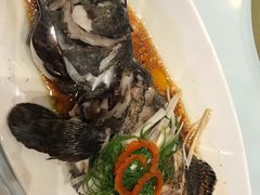 石斑鱼-青岛蓝海大饭店·渔歌舫(李沧店)