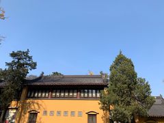-灵谷景区