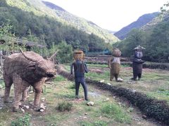 -东海大峡谷