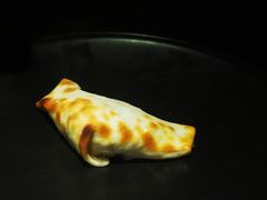 和田烤包子-阿依来新疆餐厅(奥城店)