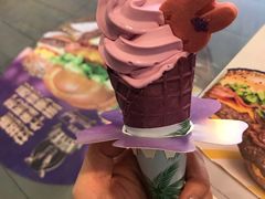 -麦当劳(湖光北街店)