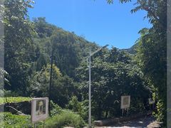 -大岭沟猕猴桃谷风景区