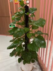 -深圳艺星医疗美容医院