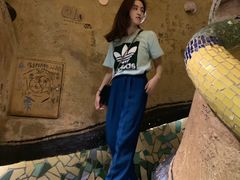 -大灰狼(中心书城店)