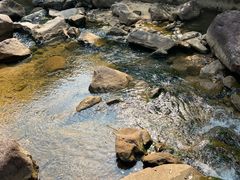 -广州白江湖森林公园