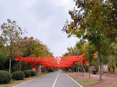 -泗洪洪泽湖湿地景区