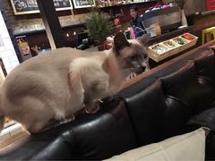 -MIKAKU(万达广场上海宝山店)