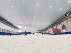 -哈尔滨热雪奇迹