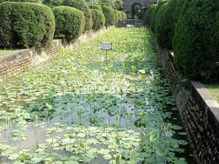 -四川大学(华西校区)