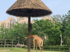 -南昌动物园