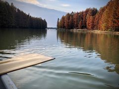 -上海海湾国家森林公园