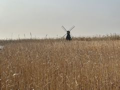 -宁波杭州湾国家湿地公园
