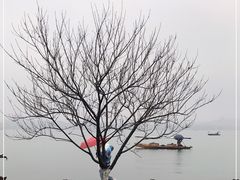 -西湖游船