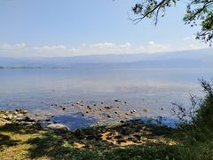 -西昌邛海湾柏樾酒店(原邛海湾柏栎度假酒店)