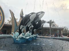 -上海海昌海洋公园-停车场