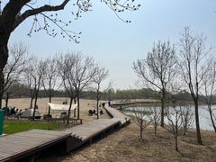 -东郊湿地公园