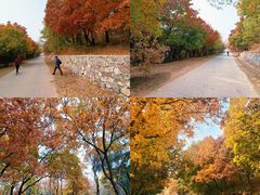 -北京西山国家森林公园