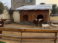 -HERRE·FARM 赫尔露营农场·团建聚会包场