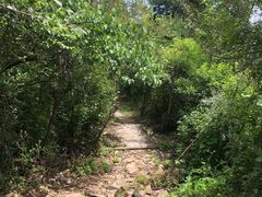 -北京十三陵国家森林公园蟒山景区