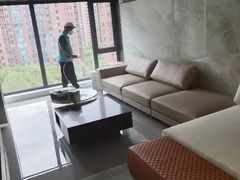 -Liteclear日本进口强效除甲醛检测治理(旗舰店)