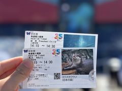 -大阪海游馆