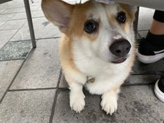 -Wagas沃歌斯(大学路店)