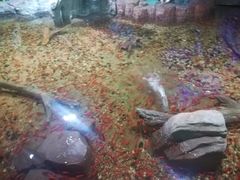 -临沂极地海洋王国