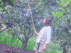 -塘栖枇杷特色园区