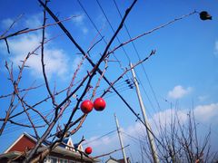-长兴对江渡客运站